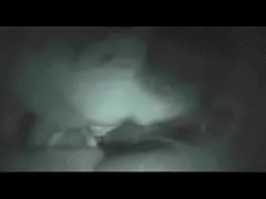  - Sexual Encounter With My Ex-Girlfriend