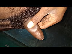  - Indian cock