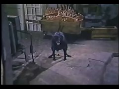  - Hospital da Corrupcao e dos Prazeres