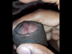  - Melzinho