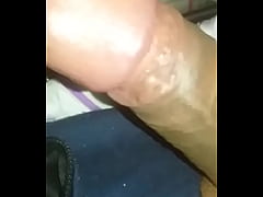  - Pau grosso