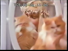  - Amori Particolari (Ilona Staller)