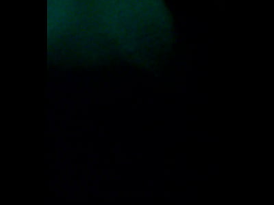 WP 20150930 19 16 51 Pro