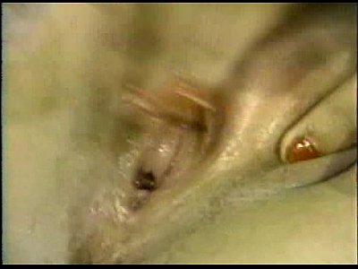 LBO - M Series 14 - scene 3 - video 1