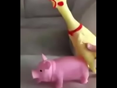 jajajajaja