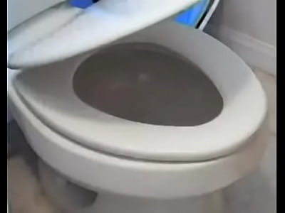 Toilet lid going down epic